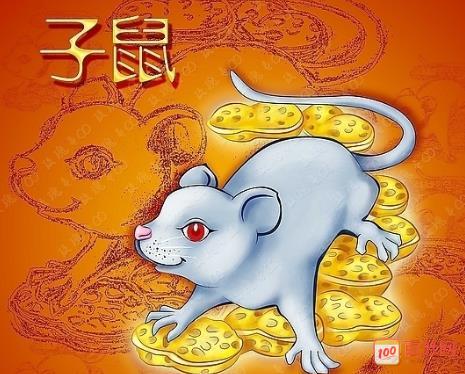 2020年八月出生的鼠宝宝取名