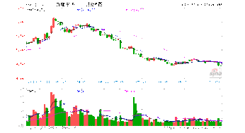 百隆东方是什么公司