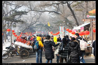 快乐春节之吉林北山正月民俗庙会