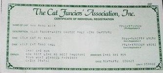 关于CFA纯种猫的证书