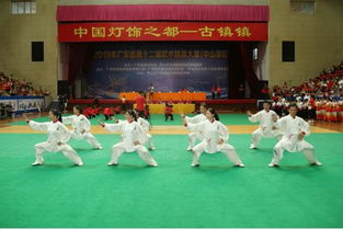 165支队伍角逐广东省武术精英大赛 近2500名武术爱好者参与