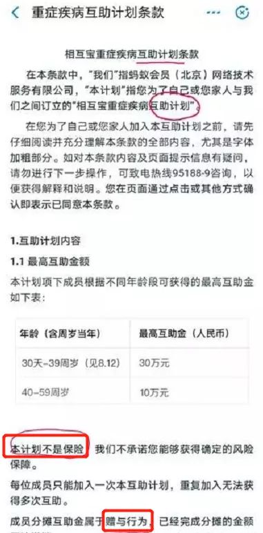 股份制公司的懂事会人数限制？