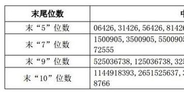 运机转债中签号一览