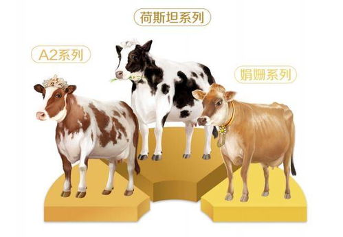 中高端白奶再落一子 现代牧业子品牌 三只小牛 ,能牛出圈吗