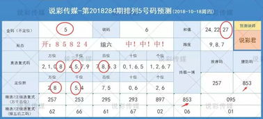 上期中排三 18285期排列五预测说彩看好金码 8 银码 2