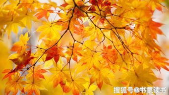 王维关于秋天的古诗