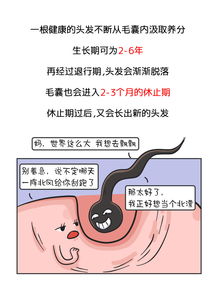 愿你的运势跟头发一样 秃飞猛进