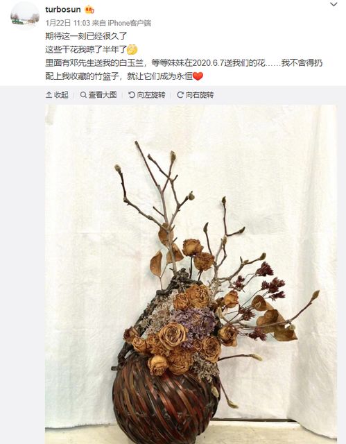 孙俪把家人送的花制成干花工艺品,宣传好友花艺店,陈年旧事被扒