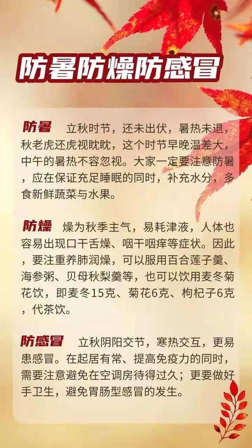 从今天起,秋高气爽,月明风清