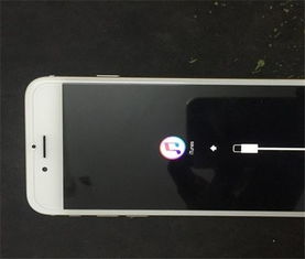 3194错误的解决方法 iPhone刷机遇到3194错误怎么办