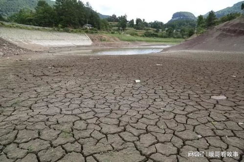 长江流域干旱,水库干涸后,来年涨水还会有鱼吗 鱼从哪里来