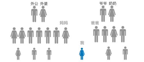 论文写作与查重：避开常见误区