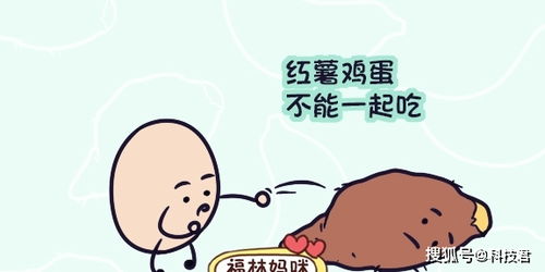 3岁宝宝吃红薯后呕吐不止 让孩子吃红薯要注意这3点,免得受罪