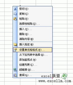 Excel2003表格中如何让文字竖着排列