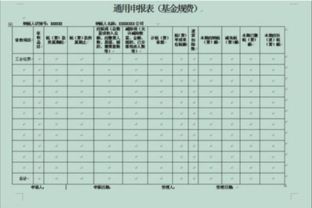 零申报的财务报表填写