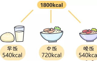 三大产能营养素在膳食中的比例分配是怎样的?