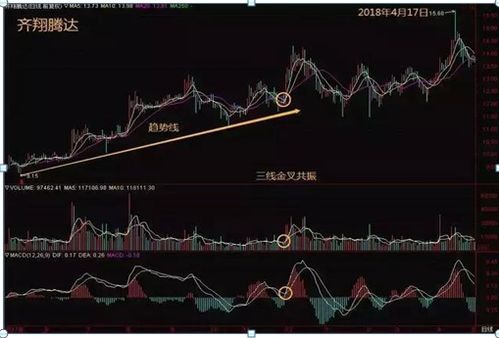 大量买入某一种股票时，是否一定会引起该股票价格上涨?