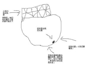 这个梦很奇怪,求解梦 