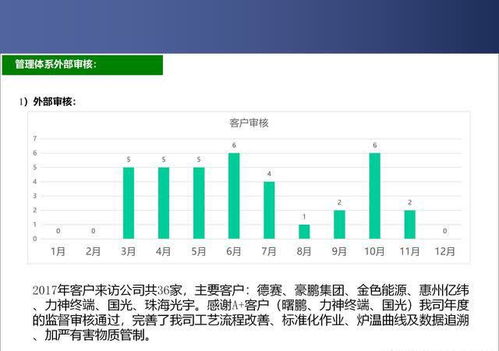 新版三体系融合管理评审报告案例,双模版直接用