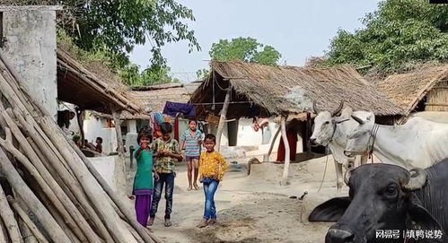 印度农村有多穷 看看穷人居住的房子,堪比非洲原始部落