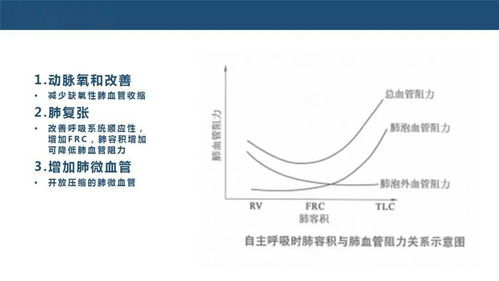 双线轮廓签名怎么弄好看？俯卧位通气护理记录怎么写