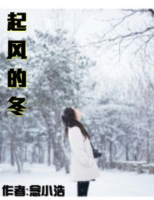 求大神帮我做一个小说封面图 背景用一个人女孩在雪中的村庄的树下的背影 要有小说名 起风的冬 作者 