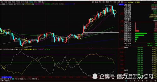 那支股票跌的最惨