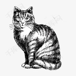 素描猫咪素材图片免费下载 高清装饰图案png 千库网 图片编号3438619 