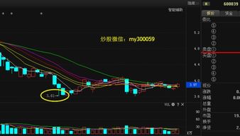 郑州煤电（600121）明天的走势怎样？今天涨停板了