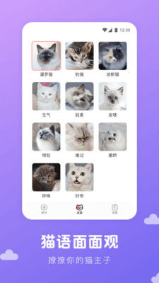猫语翻译君app下载 猫语翻译君v1.0.8 安卓版 腾牛安卓网 