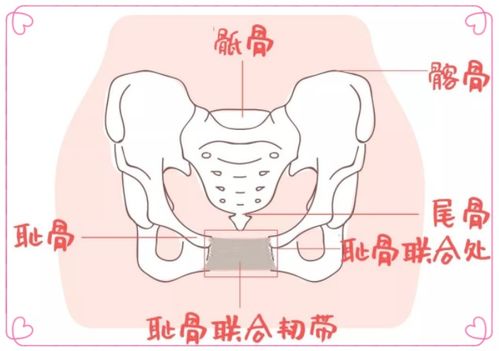 同样是选择顺产,产妇 生娃速度 却不同,快和慢哪个更好一些