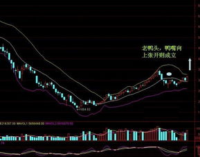 股票“老鸭头”千金难买吗