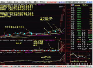 台湾股票一个<a href=https://www.gupiaozhishiba.com/GPRM/sy/870.html target=_blank class=infotextkey>涨停板</a>是多少