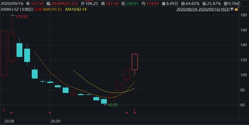 新股豪尔赛预计开板价是多少？