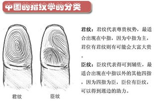 研究证明 指纹上的圈圈暗示你的健康和一生运势 