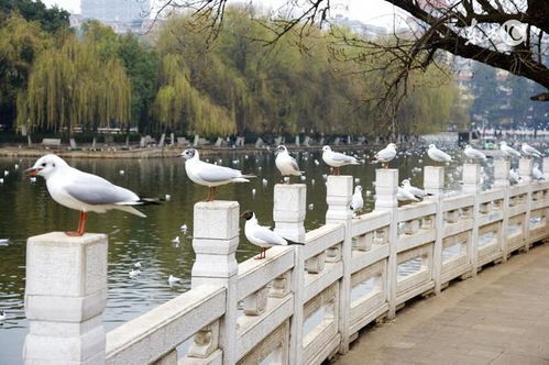 融美旅的旅居圣地 为热爱生活的你重构 幸福乐园