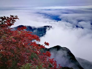 峨眉山的树叶红了 满山遍野都是人间仙境