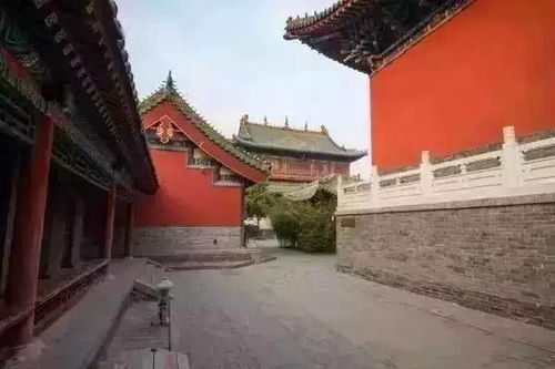 打卡管城回族区 金鸡百花邂逅3600年古老商城遗址