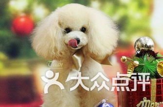 杭州宠物店排行榜 