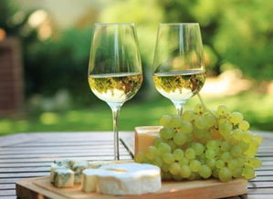 葡萄酒的制作方法图片 ***摘葡萄的季节快要来了，自己做葡萄酒该怎么做？ 