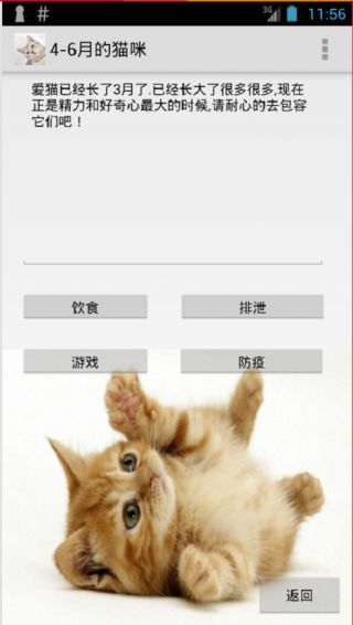 养猫指南下载 养猫指南app下载 养猫指南手机版下载 3454手机软件 