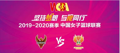 wcba直播2019