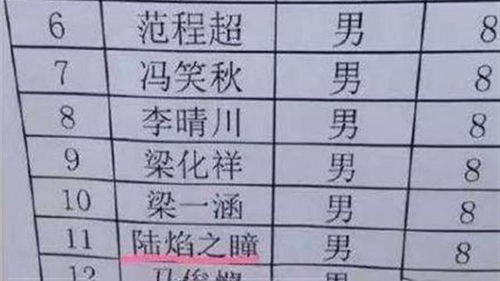 爸爸姓 史 ,给双胞胎取的名字,上户口时工作人员笑得受不了