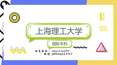 上海大学4 0中外合作国际本科(上海16个二本大学排名)