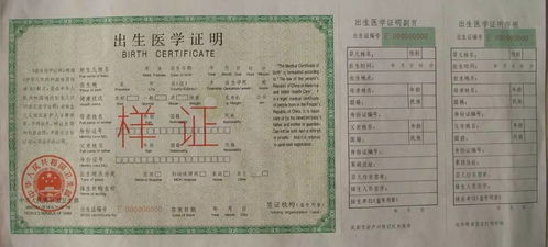 福州哪里可以做亲子鉴定，需要哪些资料？