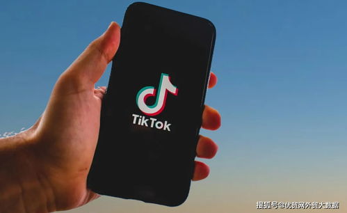tiktok登录没网络_TikTok结合独立站多元化引流