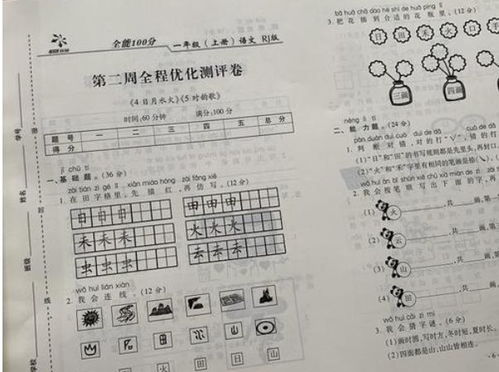 高考语文作文查重率背后的评分逻辑