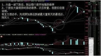 炒股票一定要看大盘吗?请尽快来准确回答?是不是只要选择优质股,就可以了?