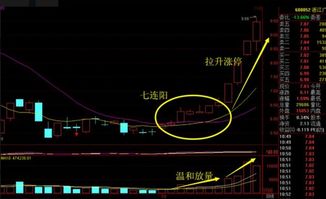 同花顺条件选股里，请写一个，N天内连续N次涨停，比如20天内连续两次涨停的公式给我，验证过了就送分，谢