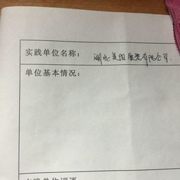 单位基本情况怎么写?